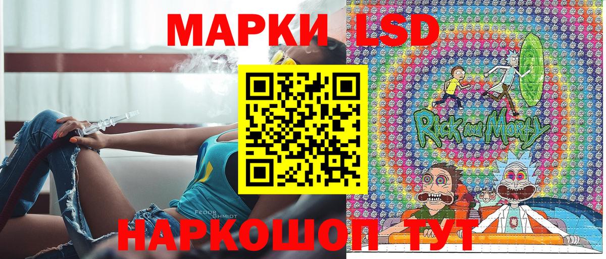 дарнет шоп  Марки N-bome 1,8мг  Марки N-bome 1,8мг  Марки NBOMe  Вход с VPN  Зерноград 