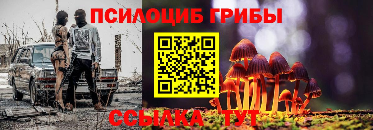 Галлюциногенные грибы MAGIC MUSHROOMS Зерноград