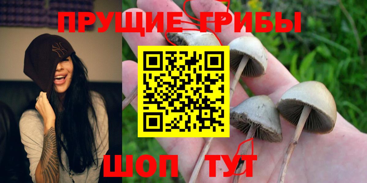 Псилоцибиновые грибы MAGIC MUSHROOMS  Вход с VPN  Зерноград  что такое   Галлюциногенные грибы Cubensis 